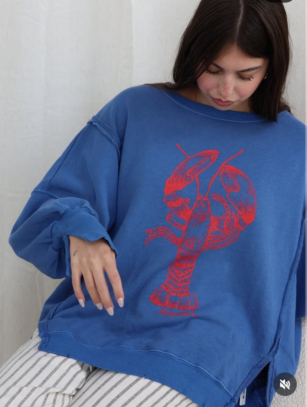 Free People Graphic Camden Lobster Pullover | Size Small